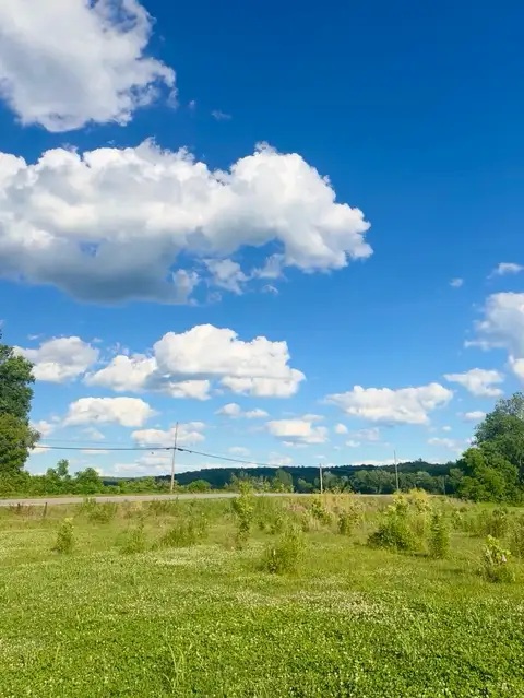 Feeling fresh under this big, beautiful summer sky.